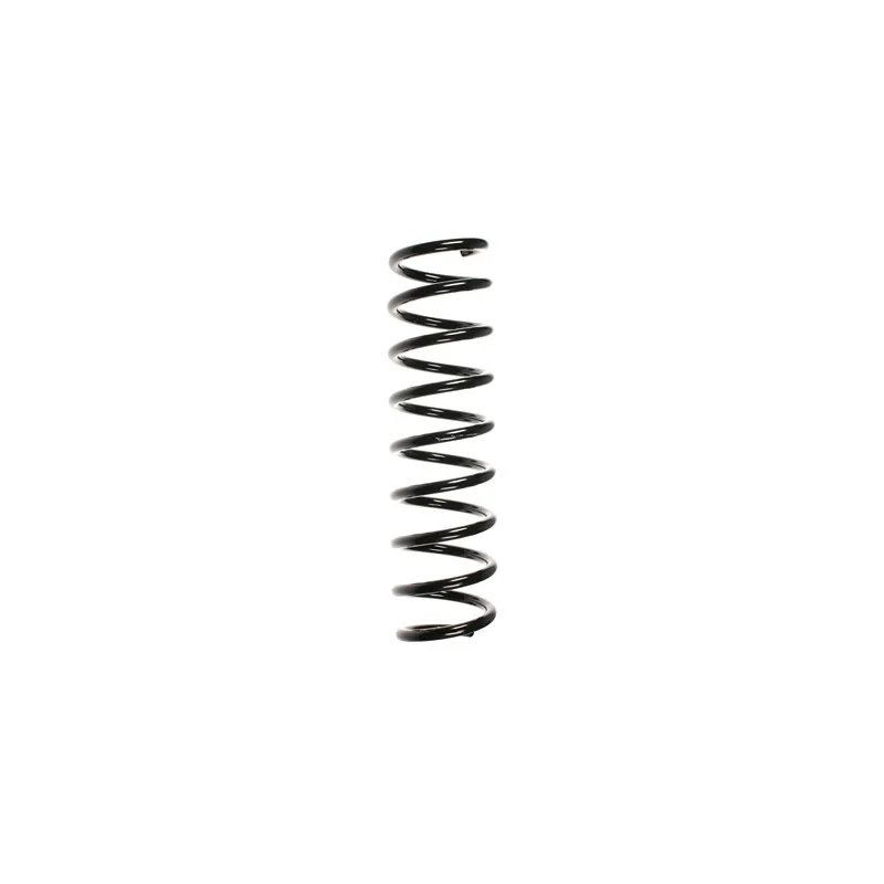 Ressort de suspension SPIDAN 55093