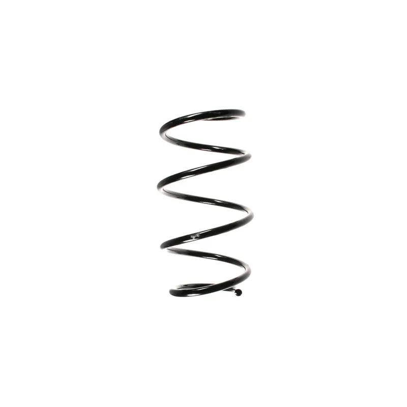 Ressort de suspension SPIDAN 55096