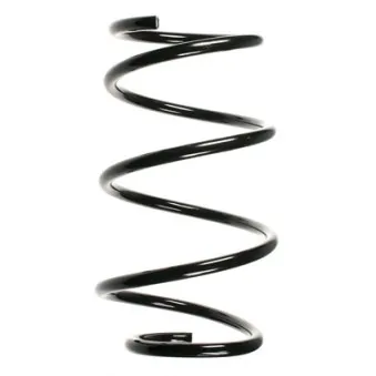 Ressort de suspension SPIDAN 55099