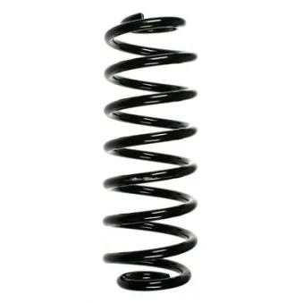 Ressort de suspension SPIDAN 55100