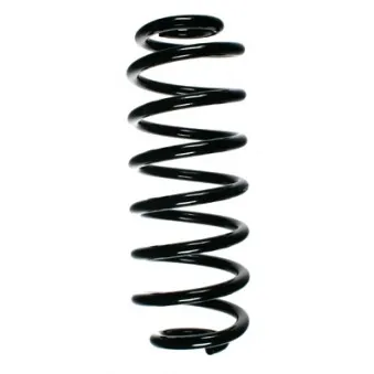 Ressort de suspension SPIDAN 55101