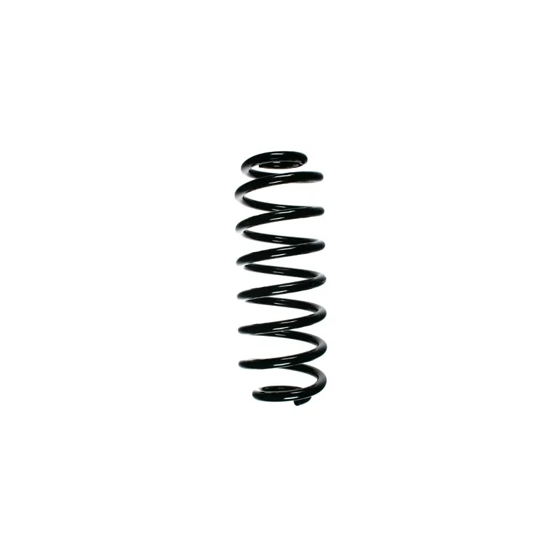 Ressort de suspension SPIDAN 55101