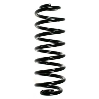 Ressort de suspension SPIDAN 55102