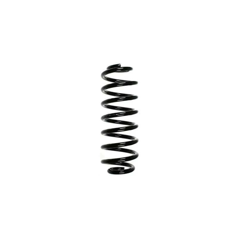 Ressort de suspension SPIDAN 55102