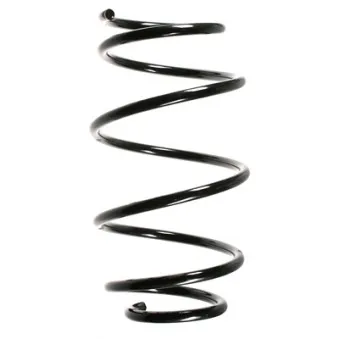 Ressort de suspension SPIDAN 55103