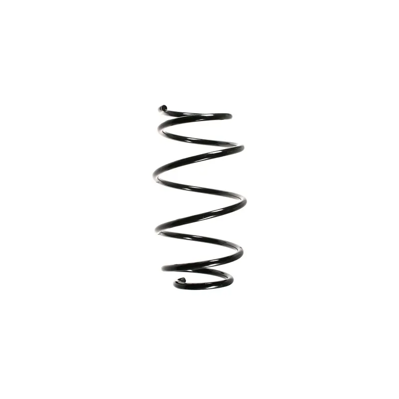 Ressort de suspension SPIDAN 55103