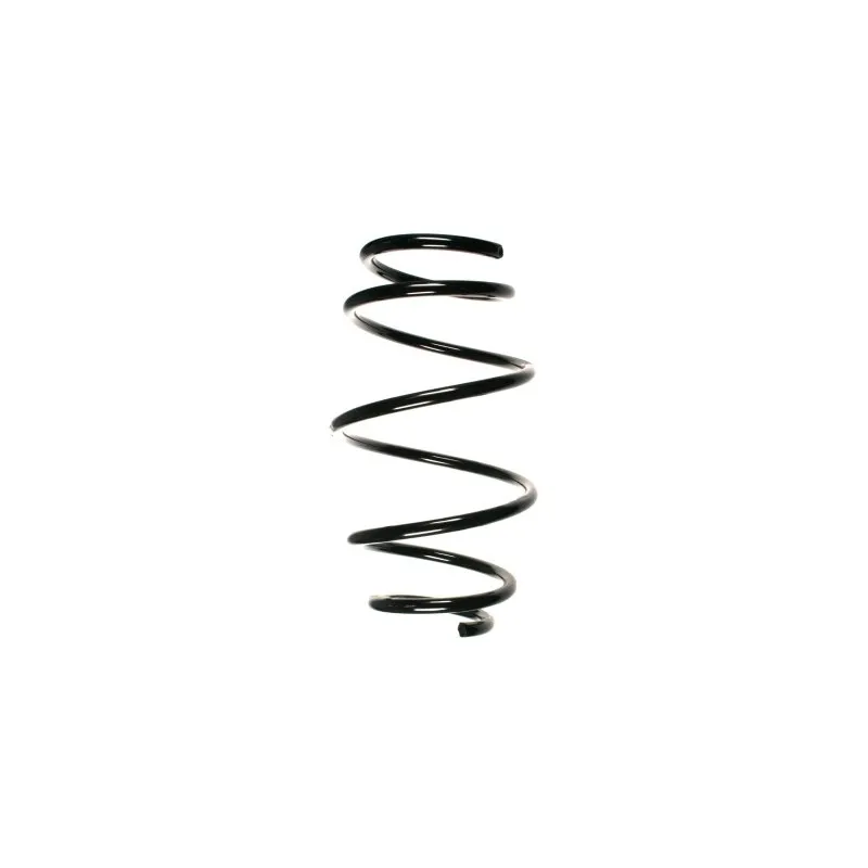 Ressort de suspension SPIDAN 55104