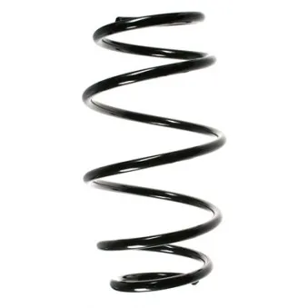 Ressort de suspension SPIDAN 55105