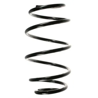 Ressort de suspension SPIDAN 55106