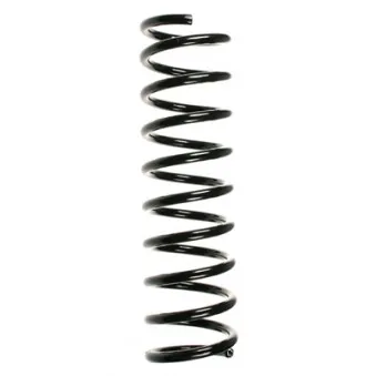 Ressort de suspension SPIDAN 55108