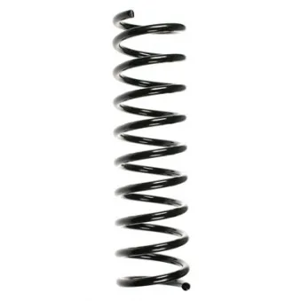 Ressort de suspension SPIDAN 55109