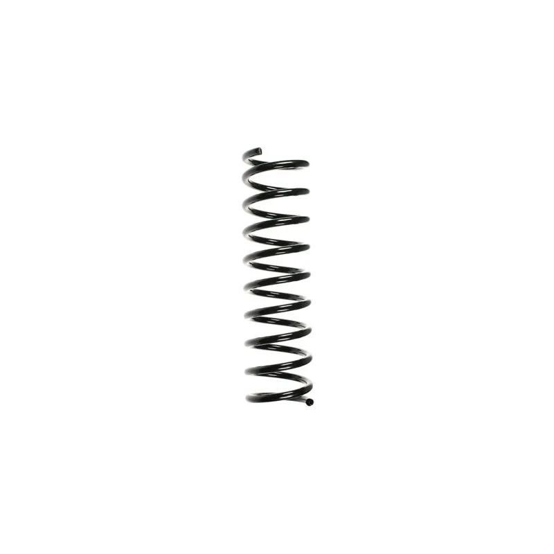 Ressort de suspension SPIDAN 55109