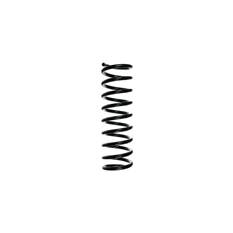 Ressort de suspension SPIDAN 55110