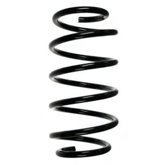 Ressort de suspension SPIDAN 55113