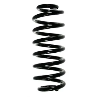 Ressort de suspension SPIDAN 55114