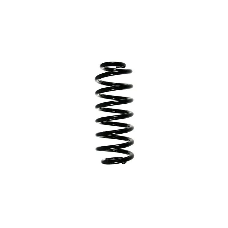 Ressort de suspension SPIDAN 55114