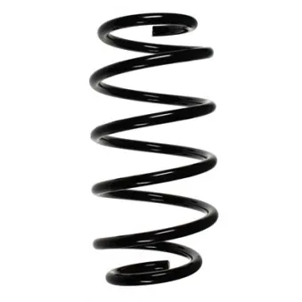Ressort de suspension SPIDAN 55115