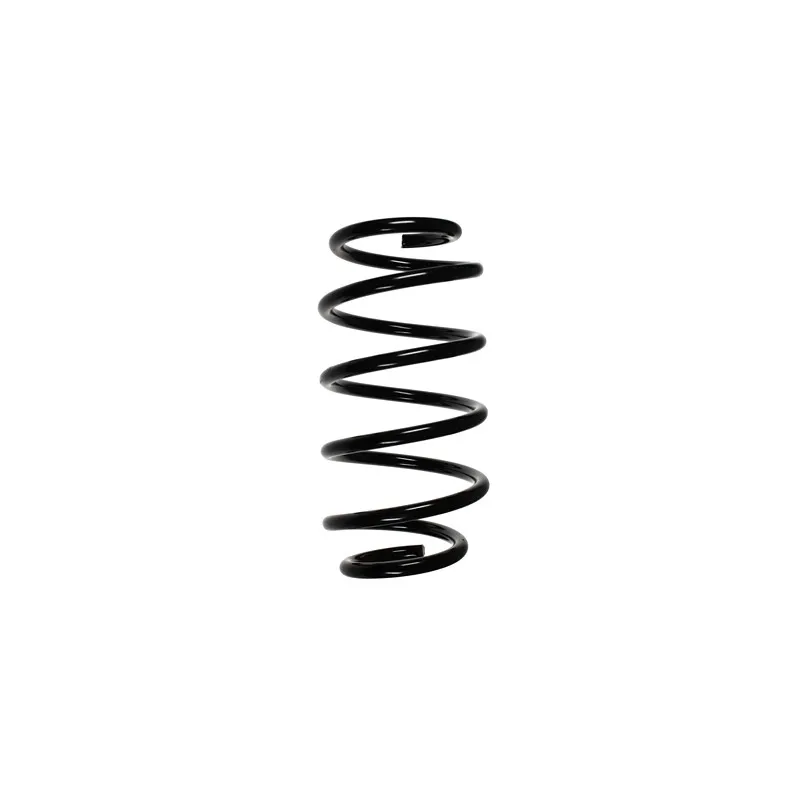 Ressort de suspension SPIDAN 55115