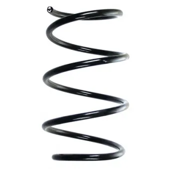 Ressort de suspension SPIDAN 55116