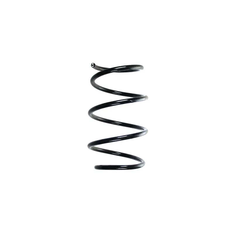 Ressort de suspension SPIDAN 55116