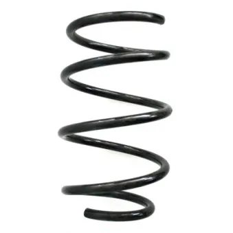 Ressort de suspension SPIDAN 55117