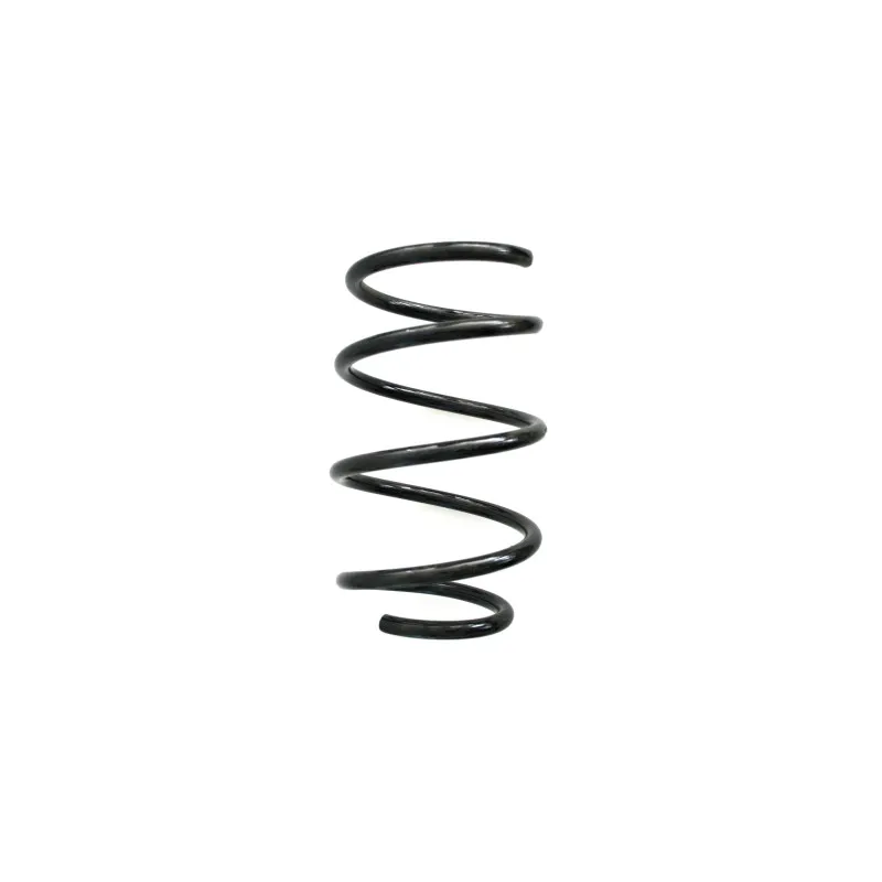Ressort de suspension SPIDAN 55117