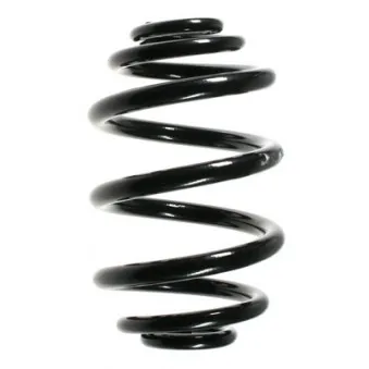 Ressort de suspension SPIDAN 55119