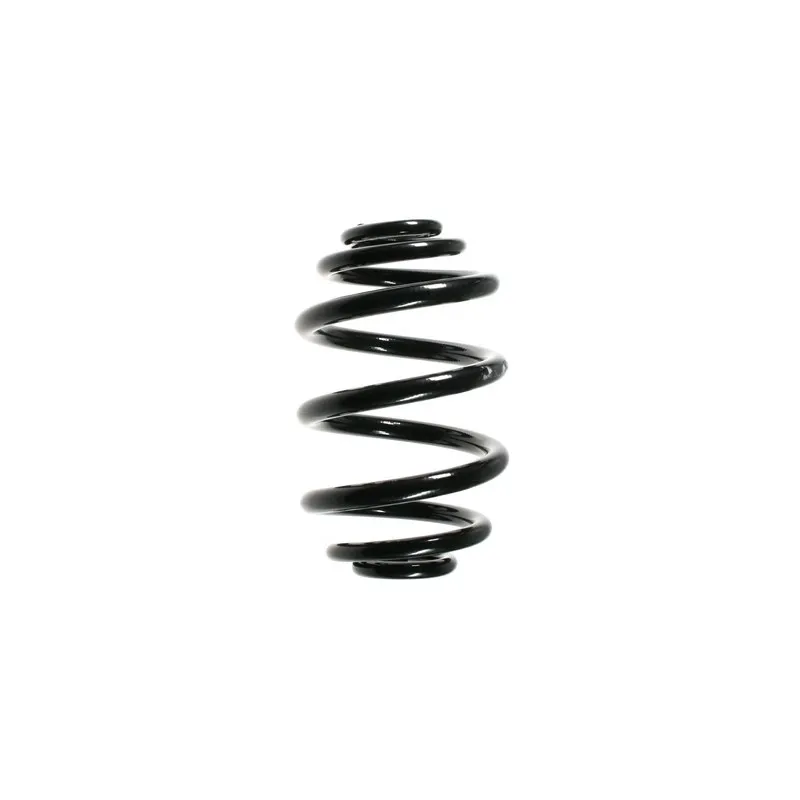 Ressort de suspension SPIDAN 55119
