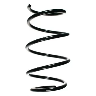 Ressort de suspension SPIDAN 55120