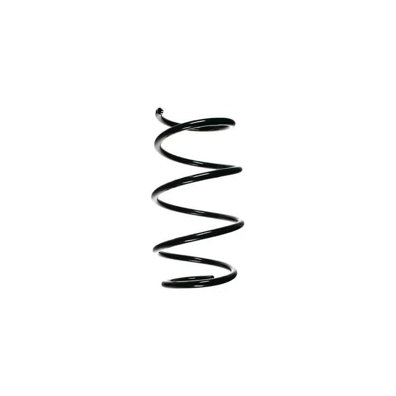 Ressort de suspension SPIDAN 55120