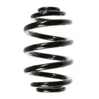 Ressort de suspension SPIDAN 55121