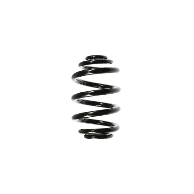 Ressort de suspension SPIDAN 55121