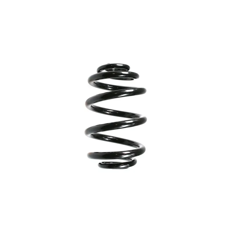 Ressort de suspension SPIDAN 55122