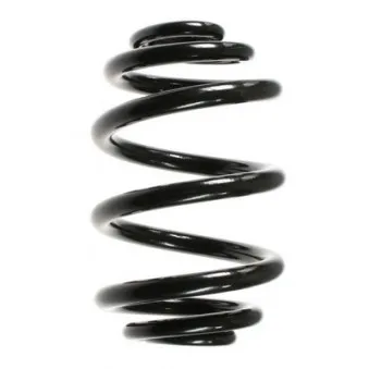 Ressort de suspension SPIDAN 55123