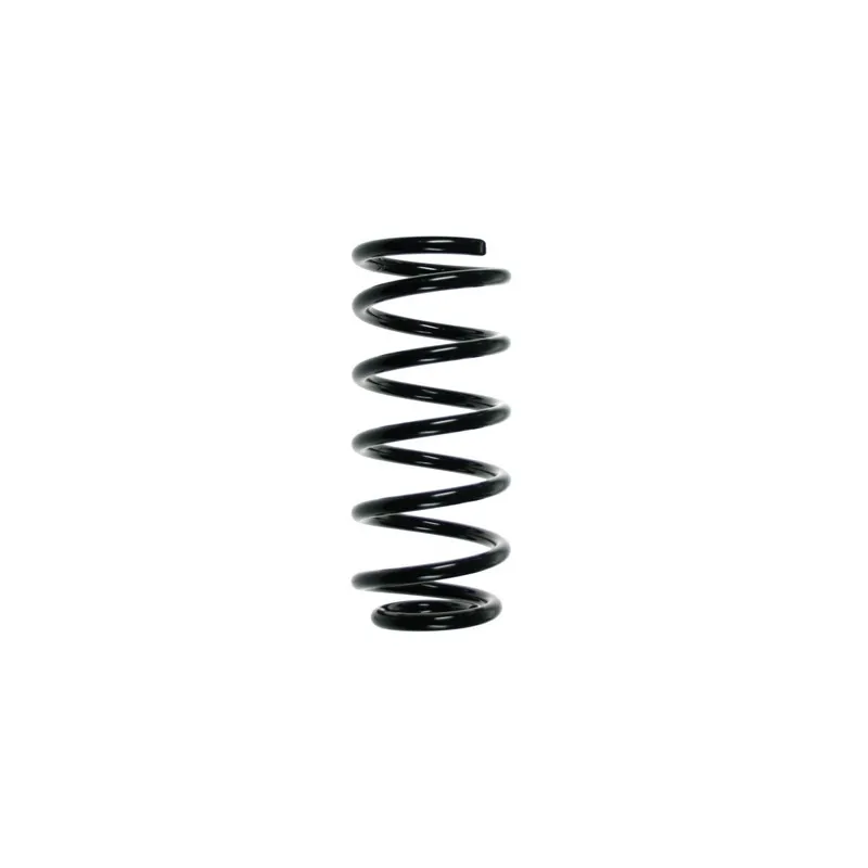 Ressort de suspension SPIDAN 55129