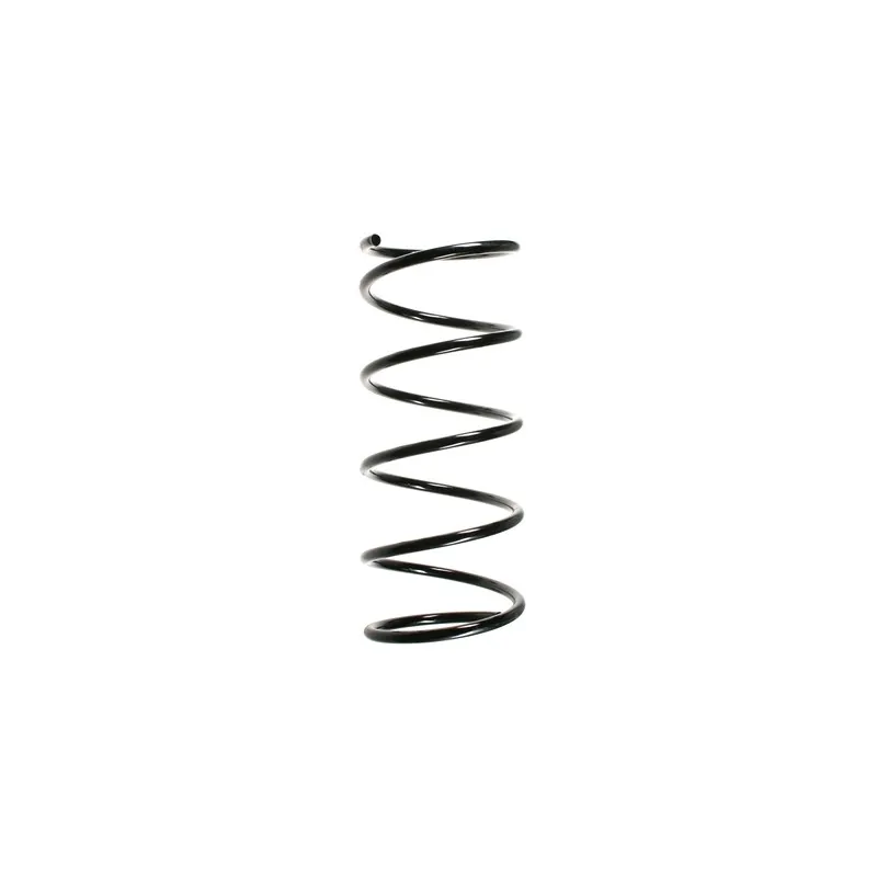 Ressort de suspension SPIDAN 55133