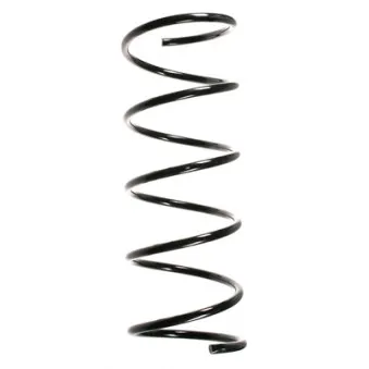 Ressort de suspension SPIDAN 55134