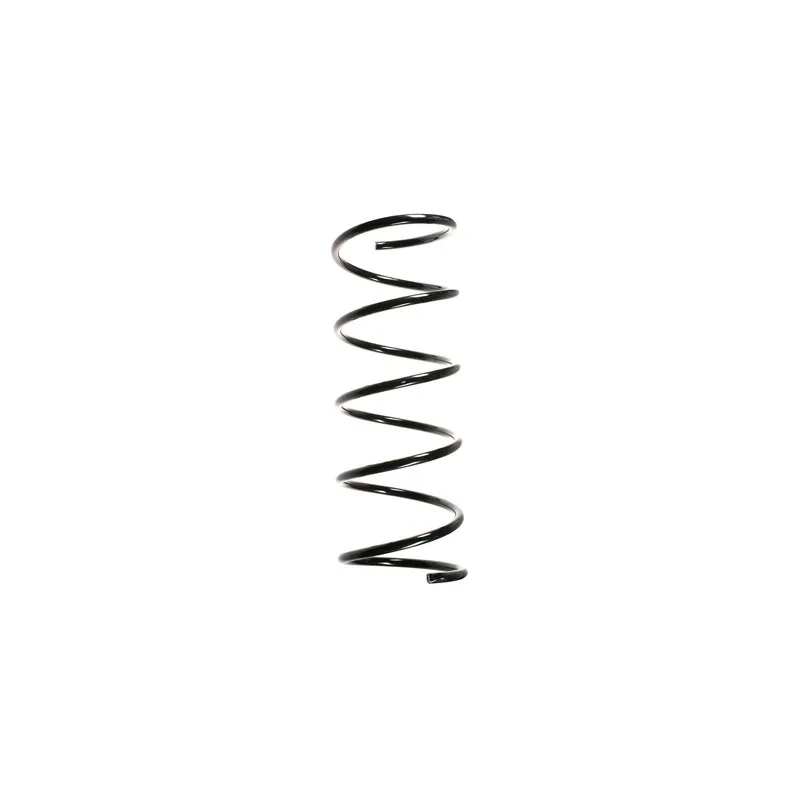 Ressort de suspension SPIDAN 55134