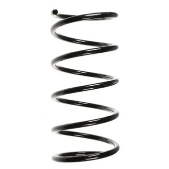 Ressort de suspension SPIDAN 55140