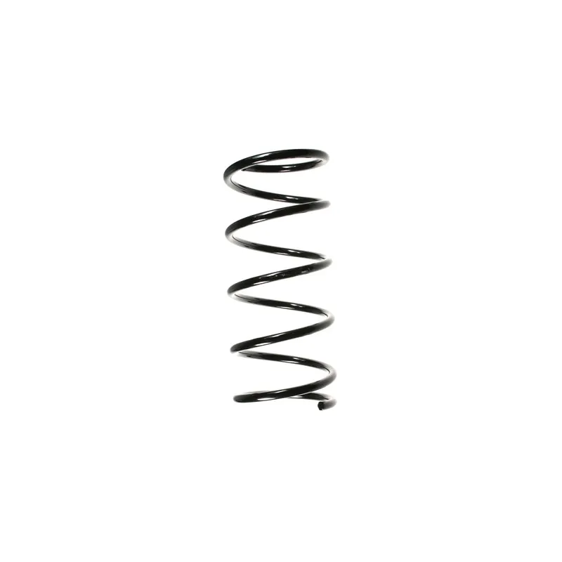 Ressort de suspension SPIDAN 55146