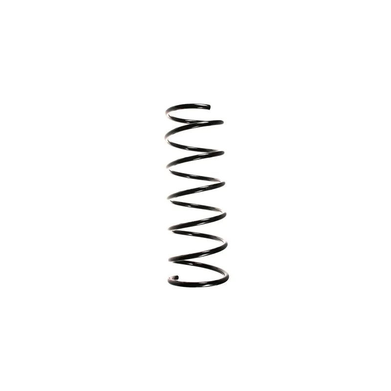 Ressort de suspension SPIDAN 55152
