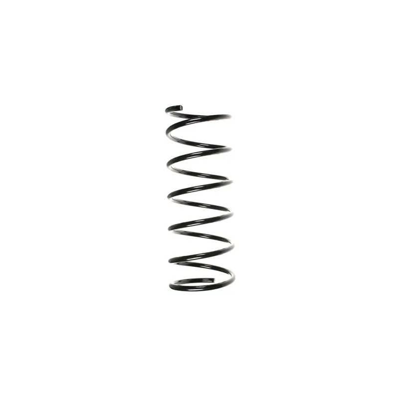 Ressort de suspension SPIDAN 55155