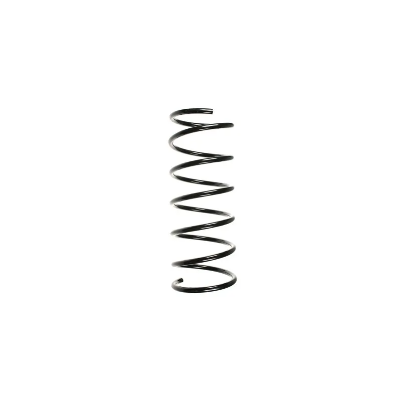 Ressort de suspension SPIDAN 55156