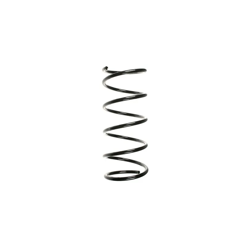 Ressort de suspension SPIDAN 55158