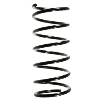 Ressort de suspension SPIDAN 55160