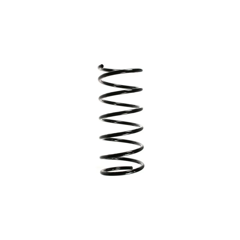Ressort de suspension SPIDAN 55160