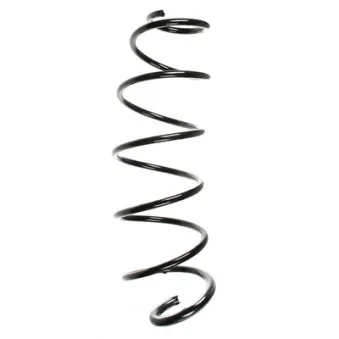 Ressort de suspension SPIDAN 55162