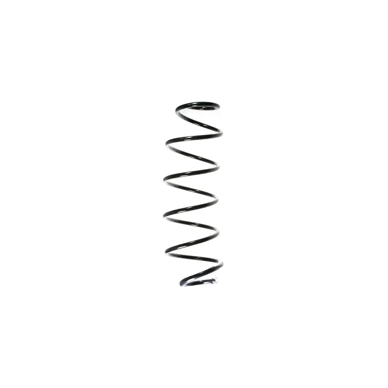 Ressort de suspension SPIDAN 55163