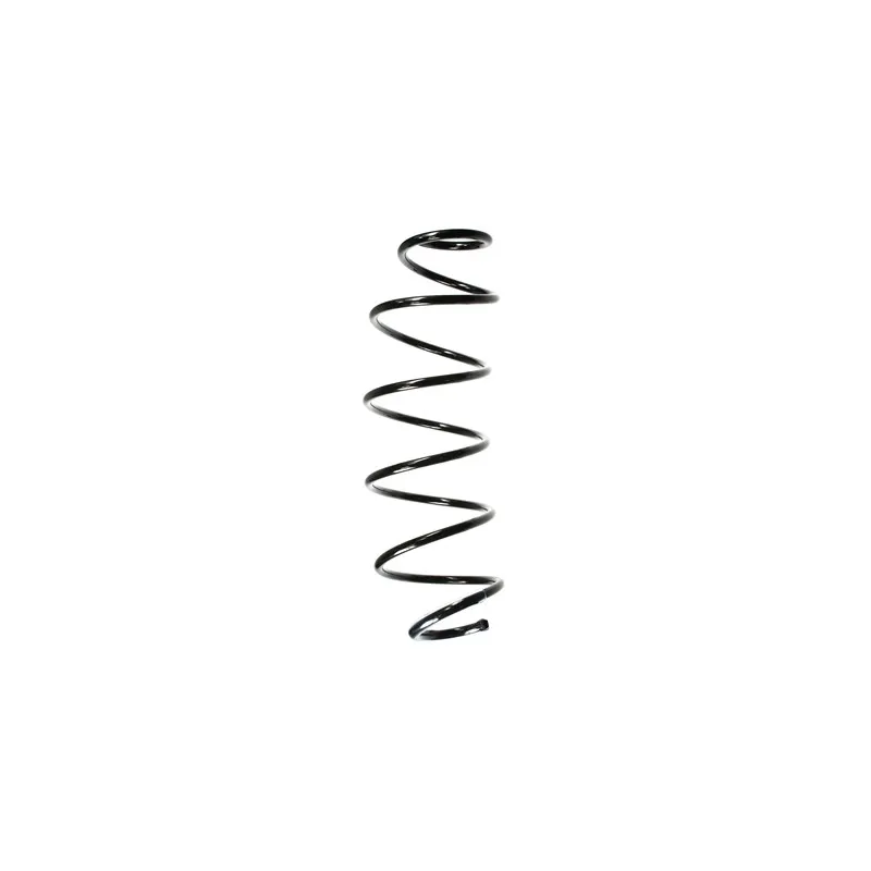 Ressort de suspension SPIDAN 55164