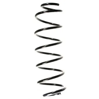 Ressort de suspension SPIDAN 55165